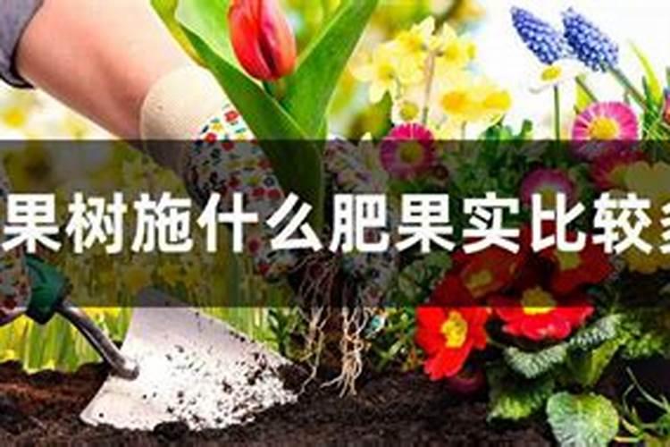 促进开花结果施什么肥