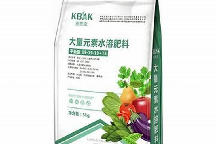 花生开花期要施什么肥