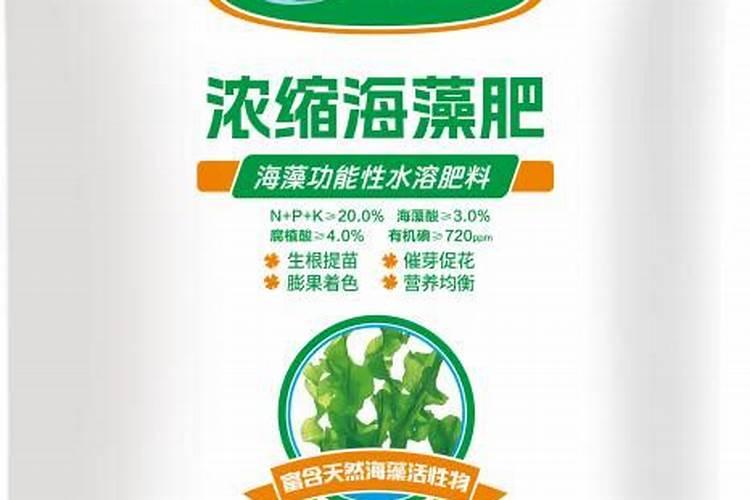 硅肥什么牌子最好