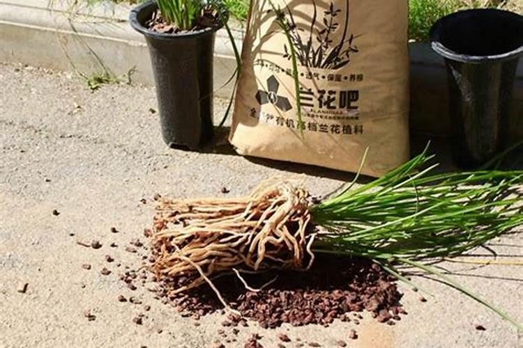 花无缺水溶肥销售网点