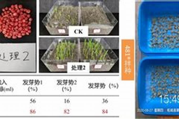 蚯蚓营养土可以直接种花吗
