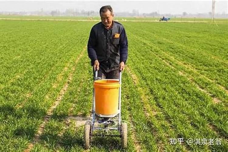 尿素是有机肥料吗