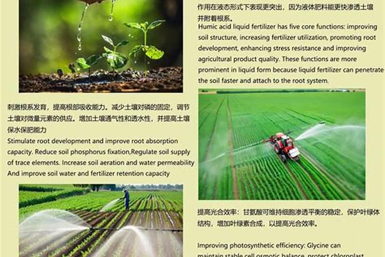 禾森二娃子叶面肥好不好