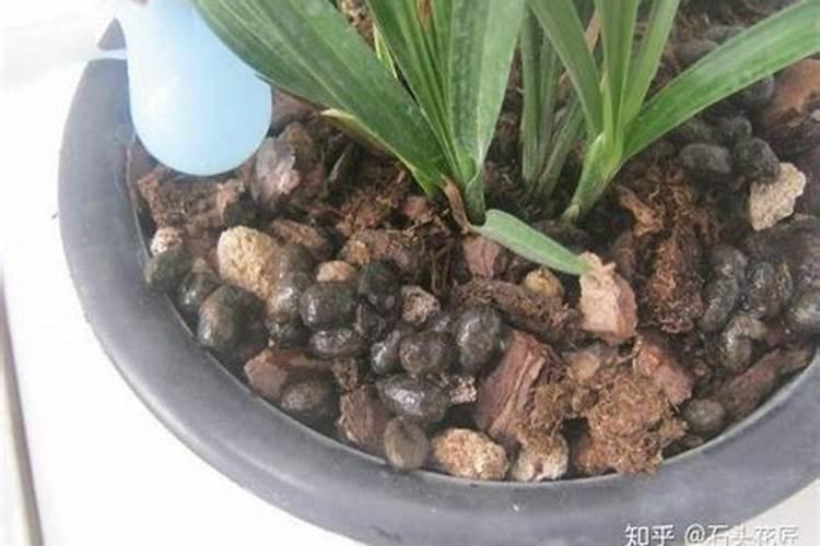 柠檬酸和柠檬黄是非法添加物吗？