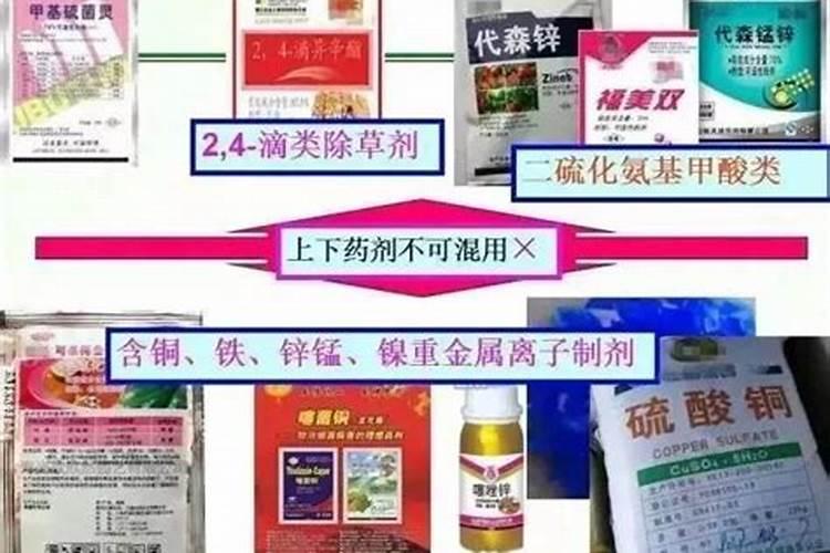 绿叶菜类蔬菜生产对肥料有何要求？常用的肥料种类有哪些？