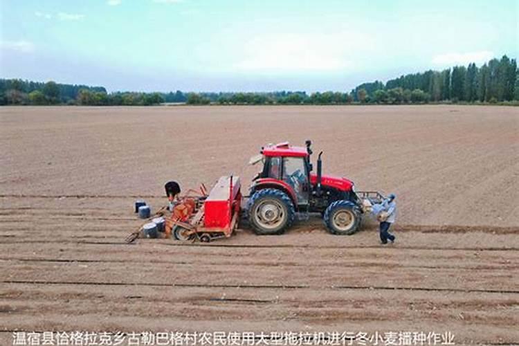 种植冬小麦底肥用什么复合肥好？