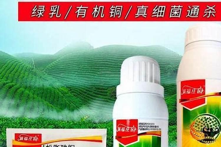 松脂酸铜可以和氨基酸叶面肥混配吗