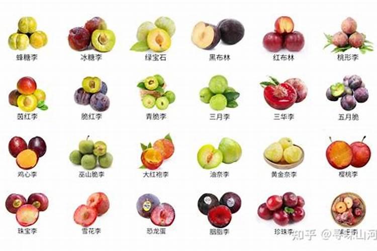 黄腐酸钾用在什么植物上好,什么时候用