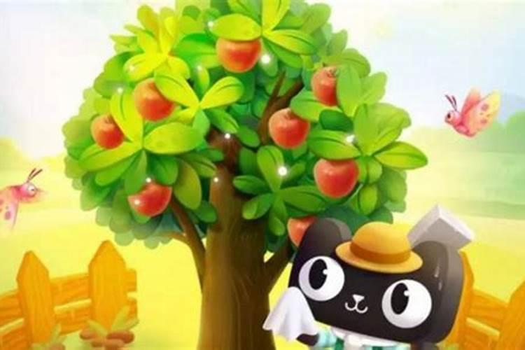 钾肥兑水可以灌溉吗？