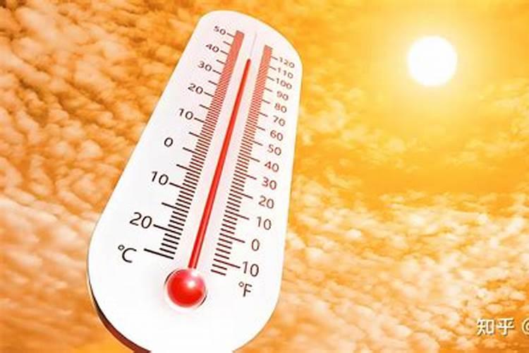 洋桔梗的土壤选择与施肥