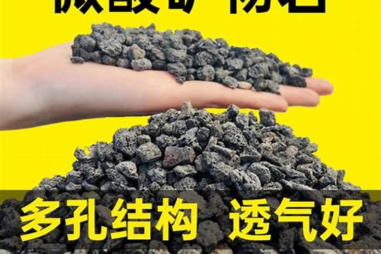 仙人掌适合什么土壤生长