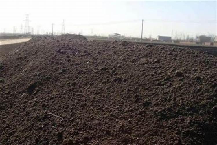 闪烁的意思是什么