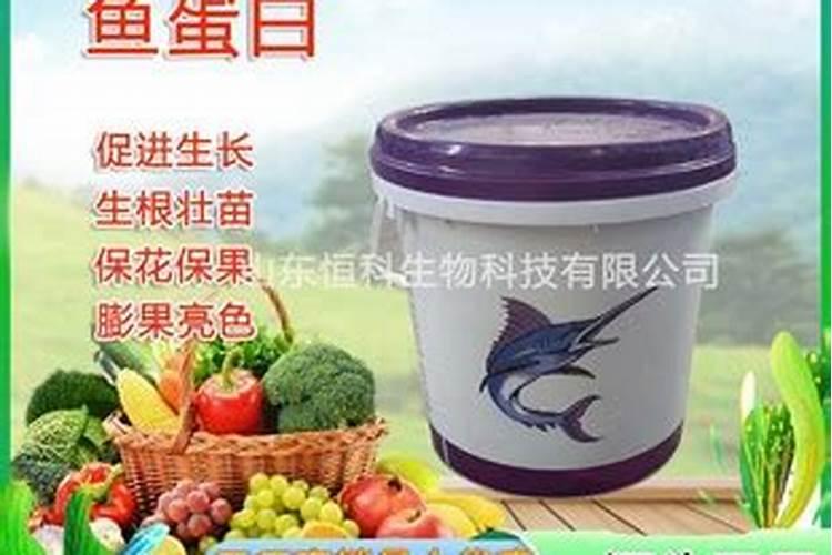 大树移栽后多久能施肥？