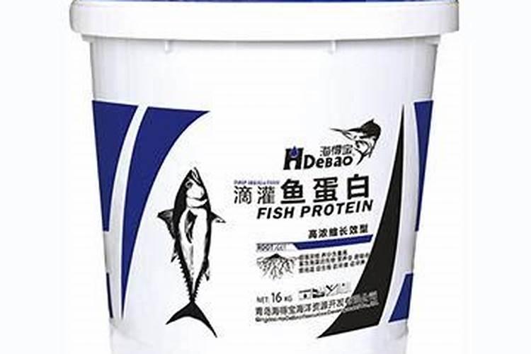 鱼肉肠怎么做美味又简单？