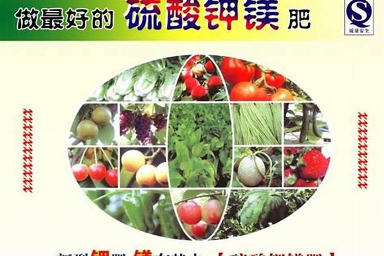 《原神》图文攻略:战斗和元素反应