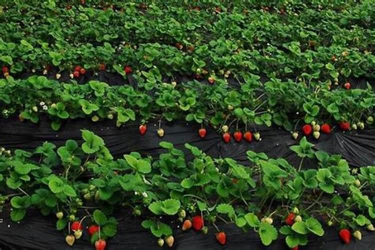 多乐士的电话是多少