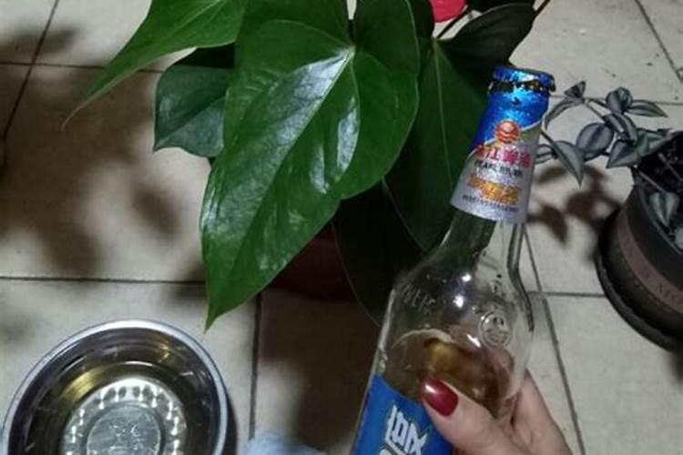 打韭菜叶面肥40斤水放多少,白醋