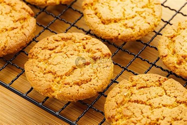 脆蜜金柑怎么样种才大 脆蜜金柑如何种才大