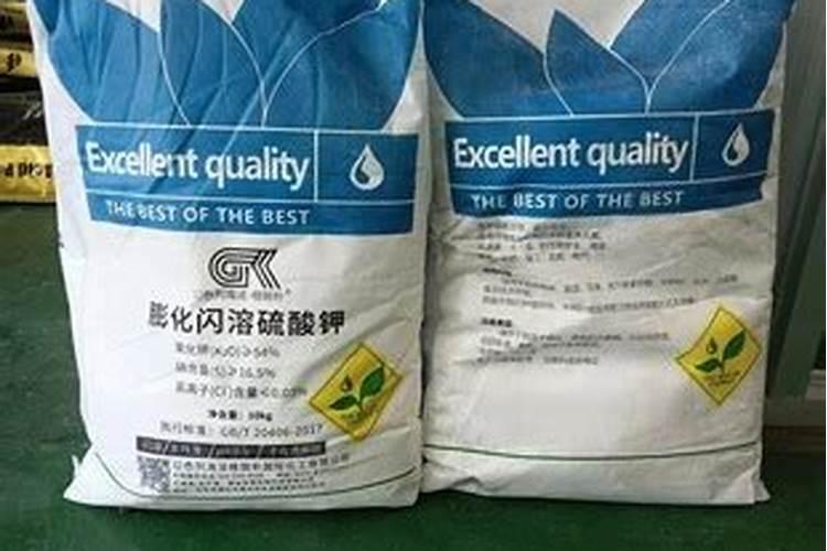 20米高的龟背竹大王, 把邻居的墙都爬满了,他用了啥猛料？