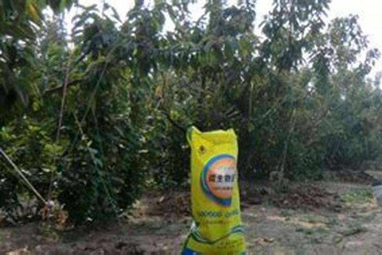 高锰酸钾对植物的作用与功效