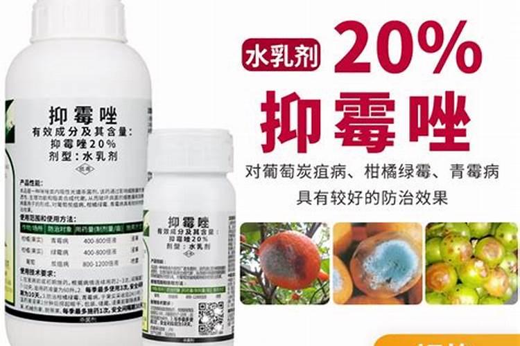 盆栽花卉如何使用花多多及复合肥？