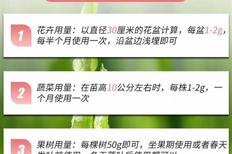 大量元素水溶肥上午用还是下午用好？