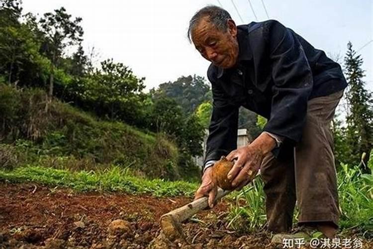 罗布泊53.8%水解速溶型硫酸钾有哪些特别之处？