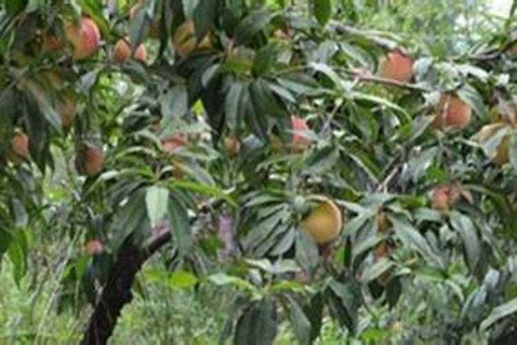 山东施尔明医学视光科技有限公司怎么样？