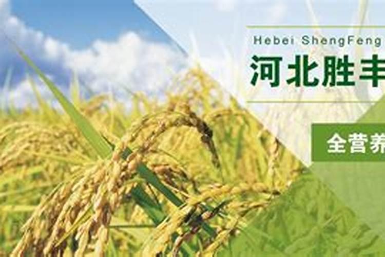 河北胜丰复合肥质量好吗