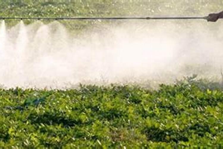 叶面喷施的钙肥有哪些好的品牌