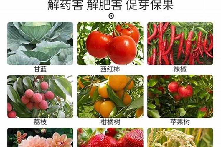 微量元素检查有必要吗