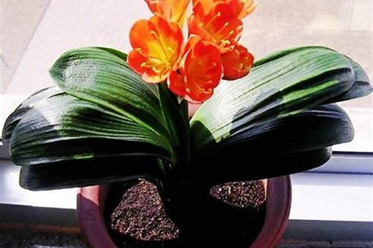 如何治疗钾偏低？如何查到病因？低血钾