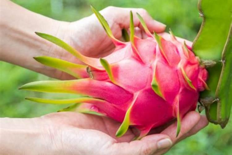 洪雅属于什么地方的城市