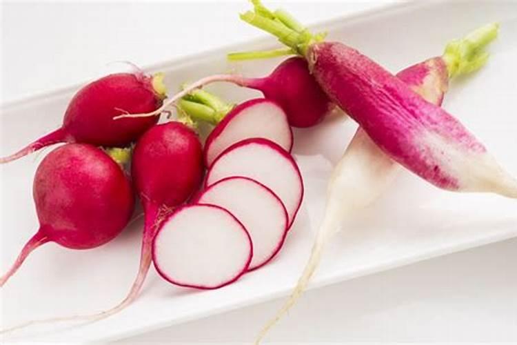 种萝卜菜用什么土比较好