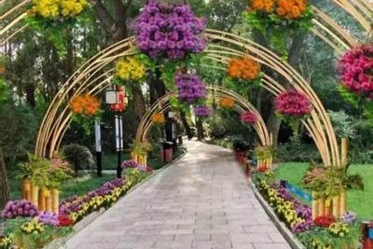 草坪专用肥哪种好？