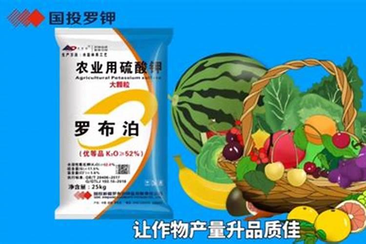 中徽量元素肥和生物菌剂能一起滴给西红柿吗？