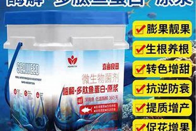 水稻穗肥用什么肥最好