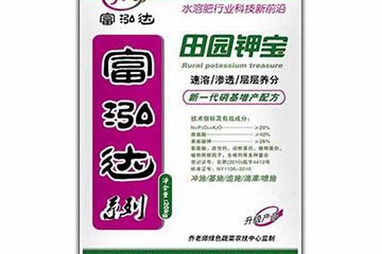 兰花怎么种植需要太阳光吗？