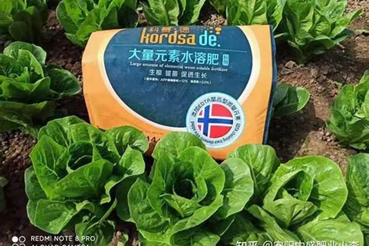 鹅掌木用什么肥料最好,5种肥料均可促进植物生长