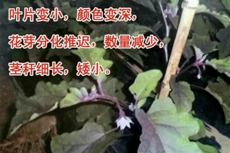 中化腐植酸200l液体桶肥料多少