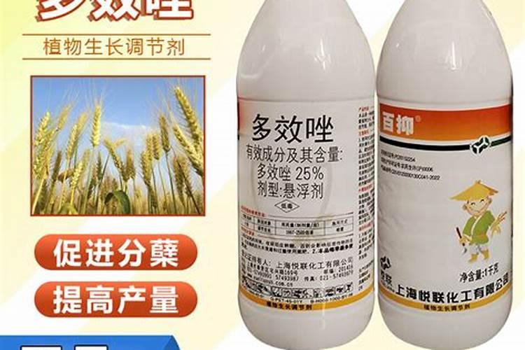 小麦分蘖期喷什么叶面肥