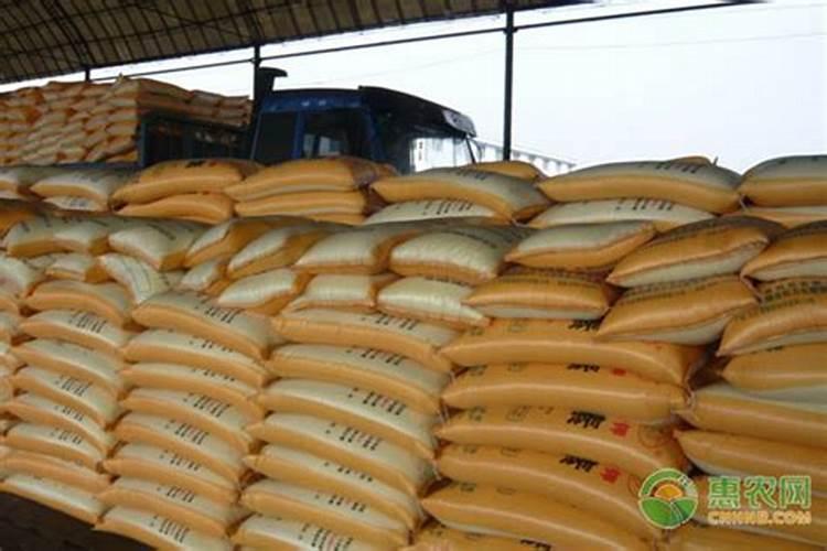 折耳根怎么种,什么时候种