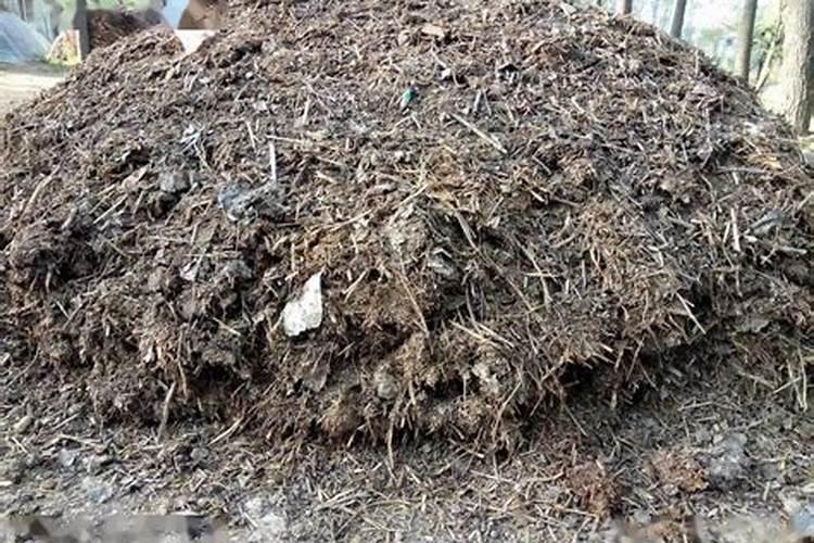 桃园种植绿肥有什么好处