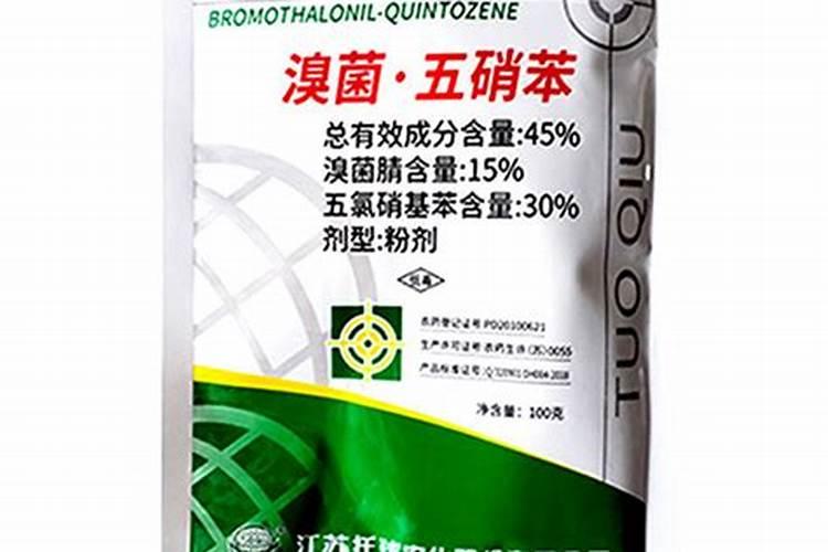 黄雀喂谷物好还是喂颗粒好