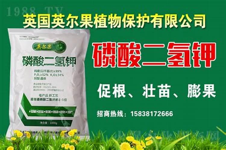 适合草坪用的叶面肥有那些