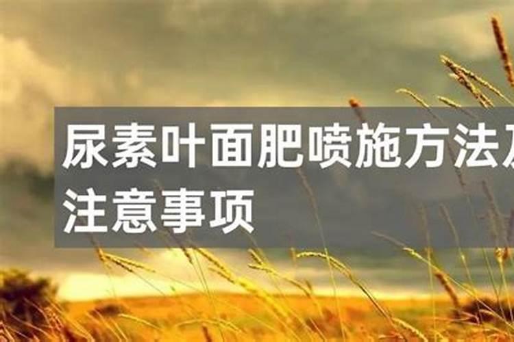 草坪施什么肥好