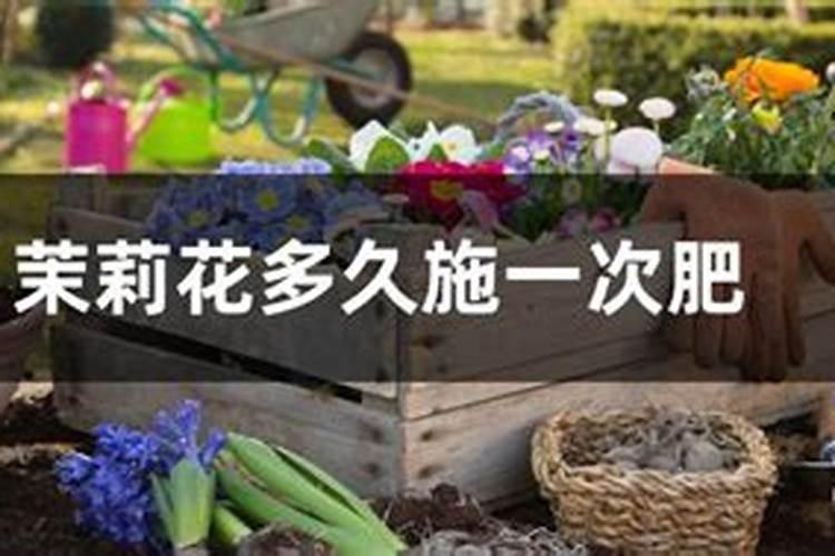 花椰菜烂根怎么办