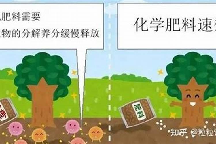 谁说有机肥不能作追肥,不这么用等著后悔吧