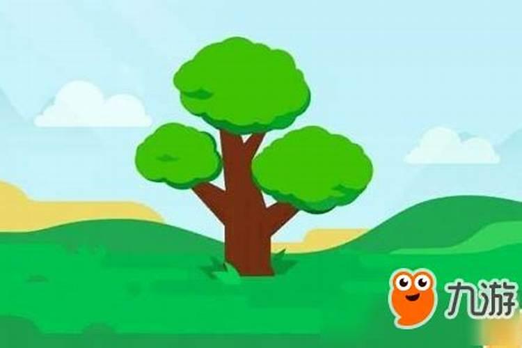 种菠菜能不能用氮肥浇水