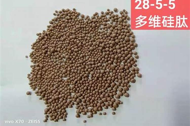 玉米灌浆期如何管理？